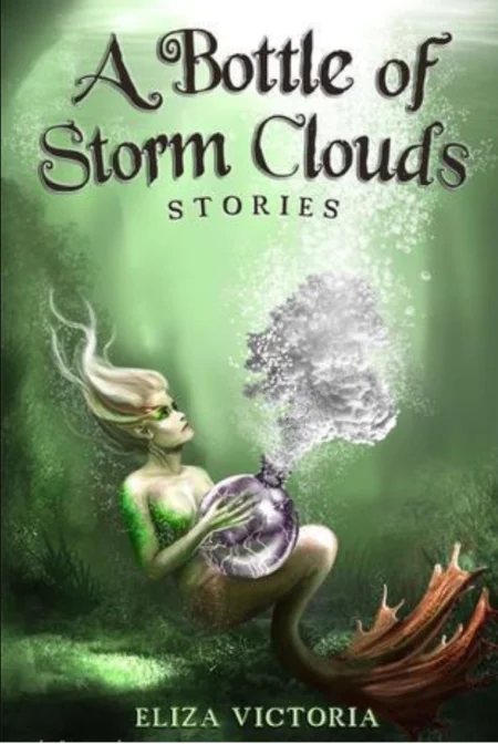 A Bottle Of Storm Clouds Stories